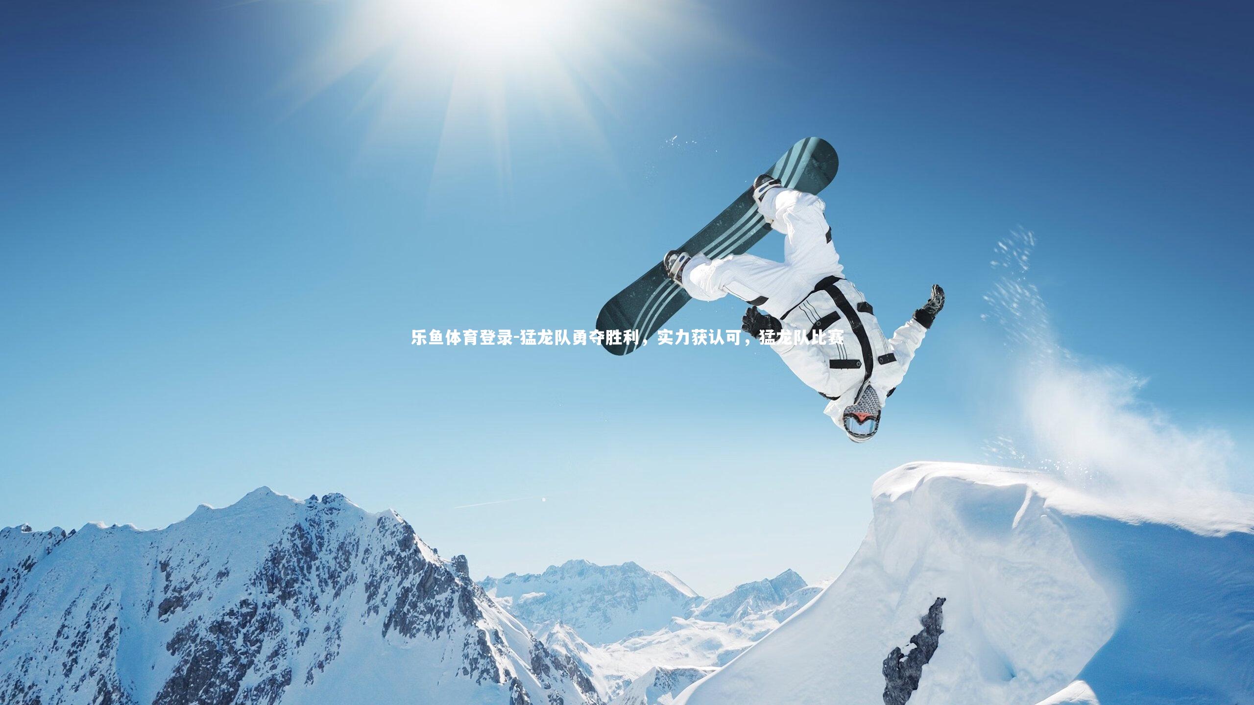 猛龙队勇夺胜利,实力获认可,猛龙队比赛