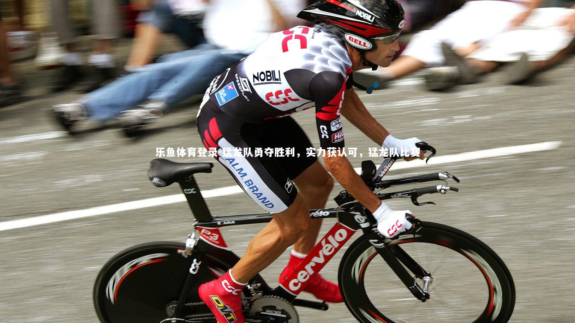 猛龙队勇夺胜利,实力获认可,猛龙队比赛