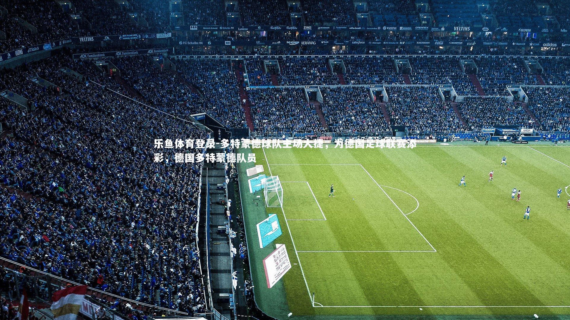 多特蒙德球队主场大捷,为德国足球联赛添彩,德国多特蒙德队员